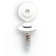 Spenglerschrauben - Torx in Weiß auf weißem Hintergrund