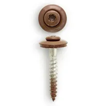 Spenglerschrauben - Torx in Braun auf weißem Hintergrund