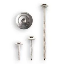 Spenglerschrauben - Torx in VA auf weißem Hintergrund