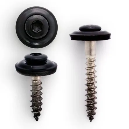 Spenglerschrauben - Torx in Schwarz auf weißem Hintergrund