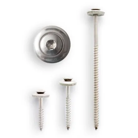 Spenglerschrauben - Torx in VA auf weißem Hintergrund